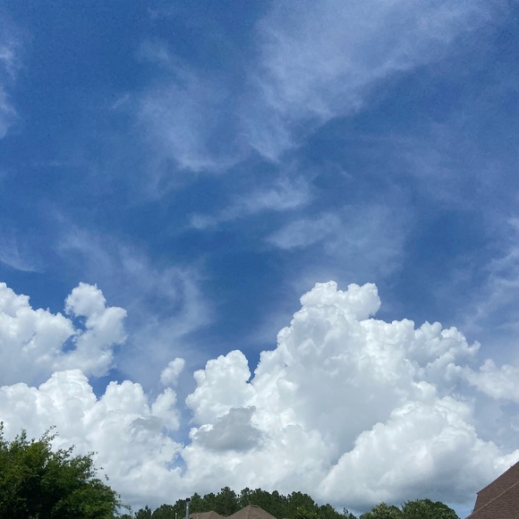 Meet your Posher, Chere - Picture 1 of 1